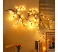 LED Lighted Willow Vine Gorgeous Flower Fairy Lights USB Operated with 8 Modes, Artificial Willow Branches Light for Wall Chirstmas Thanksgiving Holiday Fireplace Wedding Girls Bedroom Decor(6FT)