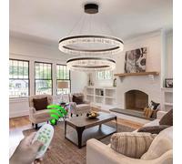 Led Living Room Pendant Light Large Circular Hanging Lamp Dining Table Ceiling Light Kitchen Dining Room Bedroom with Remote Control Creative Lighting(Size, One Color, B80cm+50cm