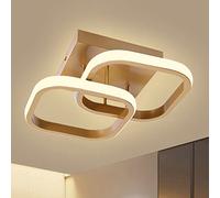 LED Modern Ceiling Light, Corridor Lights High Brightness Study Room Light Eye Protection Household Attic Lamps Energy Saving for Restaurant Dining Kitchen Ceiling Lamp Chic Ring Lamp