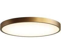 LED Modern Chandelier Lamp, 19.7" Flush Mount Ceiling Light Home Decorative Lamp Fixture Ultra-Thin Industrial 3000K/4000K/6000K Flat Panel Surface for Kitchen, Bedro