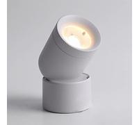 LED Monopoint Spot Light Adjustable Ceiling Spotlight, Modern Mount Aent Spot Lighting Indoor, Directional Spotlights Wall Swivel Lamps for Living Room Corridor