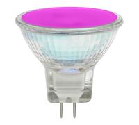 LED MR11 GU4 2W Magenta 12V 120 Degrees Prolite