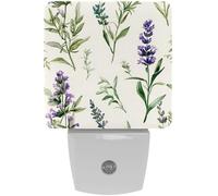 LED Night Lights Plug into Wall 2-Pack, Nightlights with Auto Dusk to Dawn Sensor for Kids Room Nursery Hallway Stairs,Watercolor Lavender Herbs on a Light Background
