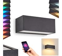 LED Outdoor Wall lamp Spidern, dimmable Outdoor lamp Made of Metal in Anthracite,Light Effect RGB, Smart App, 1x LED 16,3 Watt, 980 Lumen, 2700-6500K