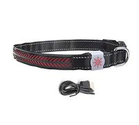 LED Pet Flash Light Collar, Adjustable Safety Rechargeable Dog Cat Collar, USB Charging Glowing Collar with Decorative Pattern, Reflective Night Collar for Small Dogs Cats Walking (M 35x27x20cm /