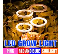 LED Phytolamp Indoor Grow Lights Full Spectrum Hydroponics Plant Lamp For Flower Seeds Cultivation DC5V USB LED Growth Light