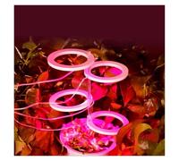 LED Phytolamp Indoor Grow Lights Full Spectrum Hydroponics Plant Lamp for Flower Seeds Cultivation DC5V USB LED Growth Light(Three Heads-RedBlue)