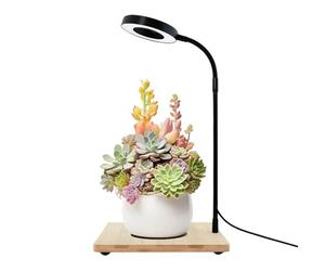 LED Plant Light - Rotating Full Spectrum LED Lamp with Wooden Base, Desktop Aquarium and Plant Growing Light for Study, Office, Desk, Display Cabinet, Easy-to-Use Indoor Accessory Daily Use