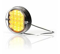 LED rear direction indicator lamp (170)