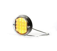 LED rear direction indicator lamp (171)