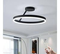LED Restaurant Ceiling Light,Nordic Designer Single Circle Black Flush Mount Ceiling Lamp Bedroom Kitchen Home Lighting
