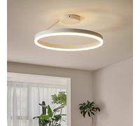 LED Restaurant Ceiling Light,Nordic Designer Single Circle White Flush Mount Ceiling Lamp Bedroom Kitchen Home Lighting