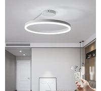 LED Restaurant Ceiling Light,Nordic Designer Single Circle White Flush Mount Ceiling Lamp Bedroom Kitchen Home Lighting