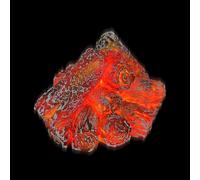 LED Simulation Charcoal Flame Lamp, Electronic Flameless Firewood with Realistic Glow Effect, Battery Powered Decorative Lighting, Ideal for Home Mantel, Fireplace, Living Room, Table Centerpiece