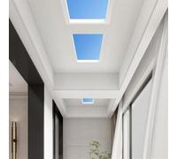 LED Skylight Ceiling Light - Natural Daylight Fixture for Indoor Spaces like Basement, Kitchen, Bedroom, Living Room, Hotel Lobby, and Aisles