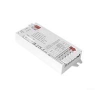 LED Strip Controller 2 in 1 Smart Dimmer, for 2 Wire 3 Wire Strips 12A Max Dual Mode CCT Tunable White Scene Memory 12V 24V DC