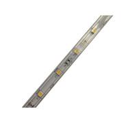 LED Strip SMD5050 30 LED 6000K° IP65 Roll
