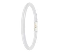 LED T5 Circular 11.6W (22W eq.) External P 4000K 840 2GX13 Ledvance