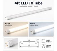 LED T8 Tube Light Fluorescent Replacement 2ft 4ft 5ft G13 4000K 6500K Lamp