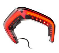 LED Taillight Compatible With Ducati Panigale V4 R / V4 S Tinted