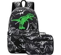 LEDAOU Kids School Backpack with Lunch Box for Boy Girl Toddler BookBag School Bag Preschool Kindergarten Backpack, Luminous Tyrannosaurus, L, Kids Backpack