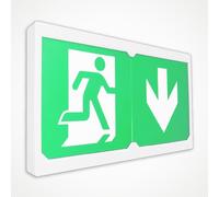 LEDBRITE LED Emergency Exit Sign White Maintained & Non-maintained Exit Box 3W Auto Self Testing LiFePO4 Battery Rotatable Legend Safety Lighting