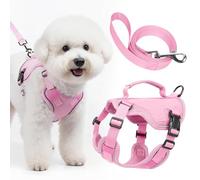 Ledeak Dog Harness and Lead Set, No Pull Adjustable Pet Harness with Soft Mesh and Reflective Bands, Breathable No-Choke Vest Harness with Control Handle for Puppy Small and Medium Dogs (Pink, XS)