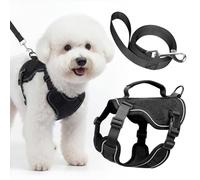 Ledeak Dog Harness and Leash Set, Tactical Adjustable Anti Pull Dog Harness with Handle, Lightweight Breathable Reflective Pet Vest for Walking Training for Extra Small and Small Dogs (Black, XXXS)
