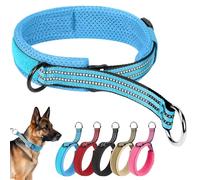 Ledeak Escape proof No Pull Dog Slip Collar, Reflective Martingale Dog Collar, Adjustable Nylon Anti Pull Pet Collars, Soft Padded for Walking Training, Wide P-Collar for Medium Large Dogs (Blue, XL)