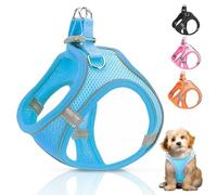 Ledeak No Pull Dog Harness, Highly Reflective Dog Harnesses, Breathable Comfort Anti Pull Dog Harness, Adjustable Lightweight Dog Harness with Strong Buckle for All Dog Breeds (Sky Blue, S)