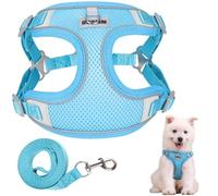 Ledeak No Pull Harness for Dogs, Breathable Mesh Step in Dog Harness, Adjustable Dog Harnesses, Dog Vest Harness with Reflective Strip, Lightweight Dog Harness for Small Medium Large Dogs (Blue, L)