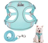 Ledeak No Pull Harness for Dogs, Breathable Mesh Step in Dog Harness, Adjustable Dog Harnesses, Dog Vest Harness with Reflective Strip, Lightweight Dog Harness for Small Medium Large Dogs (Green, L)