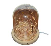 LEDMOMO Bell Jar Light Glass Jar USB Lamp with Wooden Base and LED Warm Fairy Starry String Lights (Warm White)