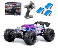 Ledovan Remote Controlled Car, 1:16 50 km/h RC Car, 4WD All Terrain Off-Road, 2.4GHz Monster Truck Remote Control for Adults, Carbon Brush Motor, Purple (3 Batteries)