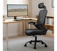 LEDREM Office Chair, Desk Chair With Mesh Back, Ergonomic Computer Chair, With Adjustable Lumbar Support Cushion, Rocking Function