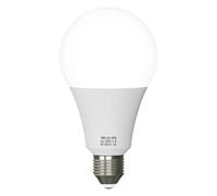 3 Pack A60 E27 Screw GLS Bulbs Golf Ball LED Light Bulb E27 ES Edison 3W - 25W Energy Saving Cool White A+ Globe Shape Lighting Lamp (25 W - 1 Pack)