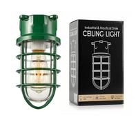 LEDSone Industrial Nautical Bulkhead Ceiling Light Blue Metal Cage Flush Mount E27 Indoor Porch Hallway Lighting Fixture Vintage Marine Design (Green)
