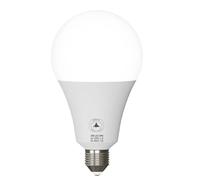 LEDSone LED GLS Light Edison Screw ES, 25W(100W Equivalent) 1506LM 6000K Cool White Lamp Classic Frosted A60 Standard E27 Energy Saving Non-Dimmable Globe LED Bulb [Energy Class A+]