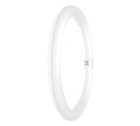 LED T9 Circular 18.3W (32W eqv.) 2000lm 3000K G10q EM Ledvance