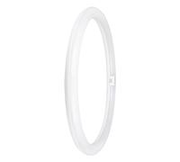 Ledvance Ledtube T9 Circular 24W 4-Pin Value Class Cool White Frosted