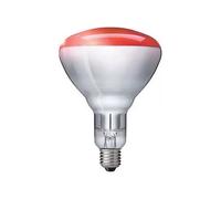 LEDVANCE N25R35 Decor A Red 25W 240V E27 35X1