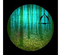 Lee Anthony Norris / Michael Gainford - Autumn of Communion