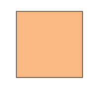 Lee Coral Std 10 Resin Filter