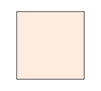 Lee Coral Std 2 Resin Filter