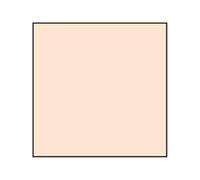 Lee Coral Std 3 Resin Filter