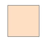 Lee Coral Std 4 Resin Filter