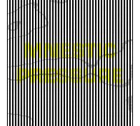 Lee Gamble - Mnestic Pressure [VINYL]