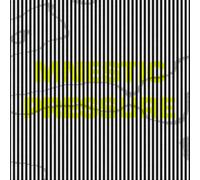 Lee Gamble - Mnestic Pressure - Vinyl Record - J3z
