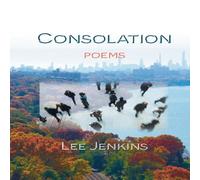 Lee Jenkins Consolation; Poems Paperback Book Lee Jenkins Multicolor