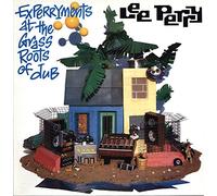 Lee Perry & Mad Professor - Experiments at the Grass Roots [VINYL]